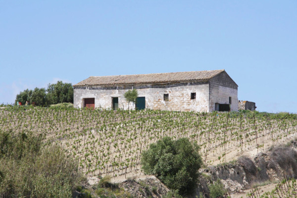 Weingut auf einem Hügel mit Albariza Boden