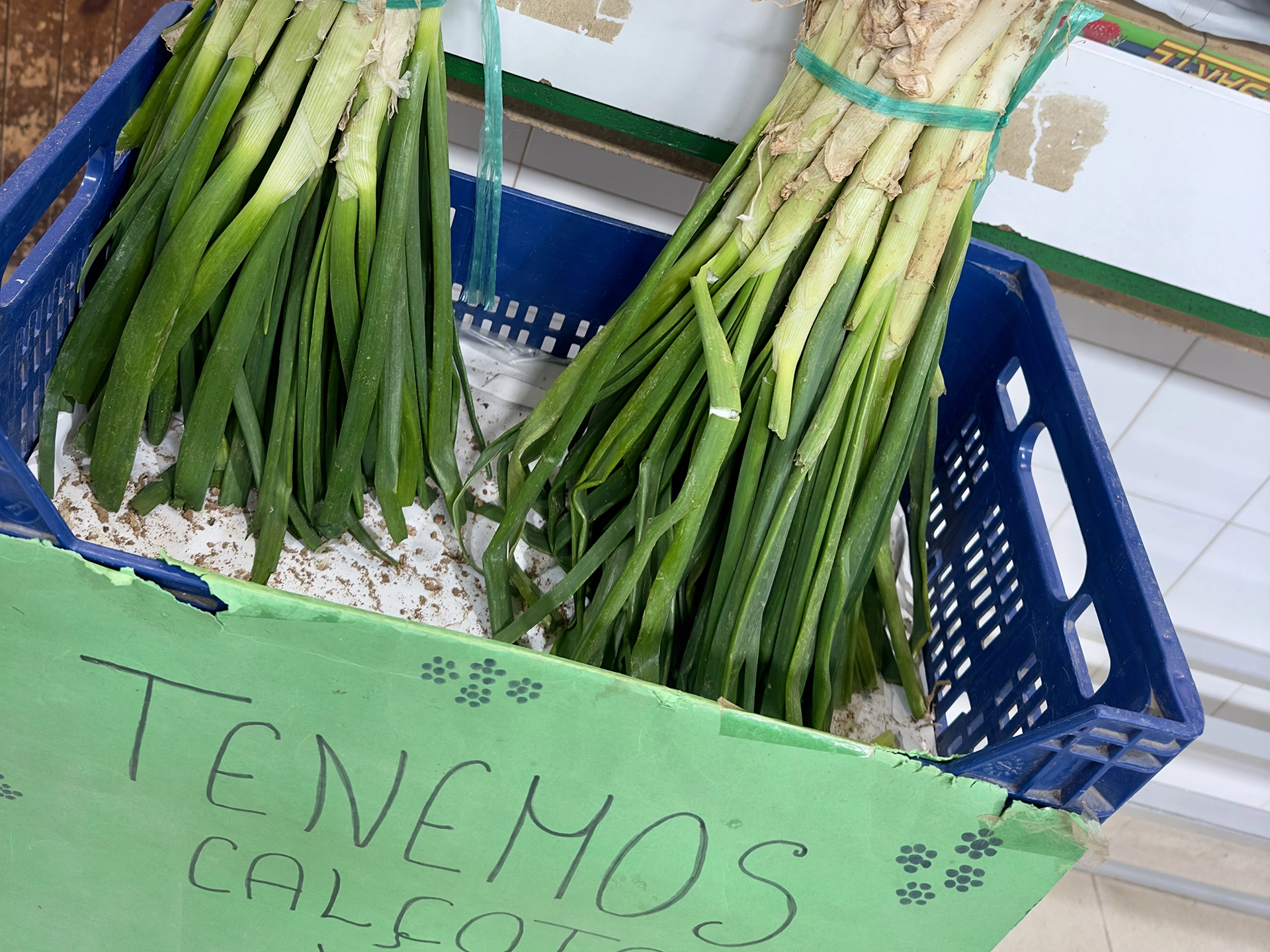 calcots auf dem Markt