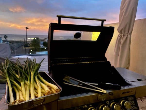Gasgrill steht auf Terrasse mit Calçots