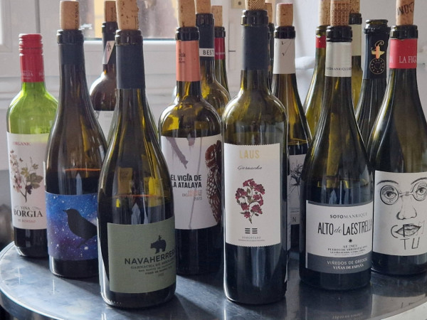 Zahlreiche geöffnete Flaschen Wein auf einem Tisch.