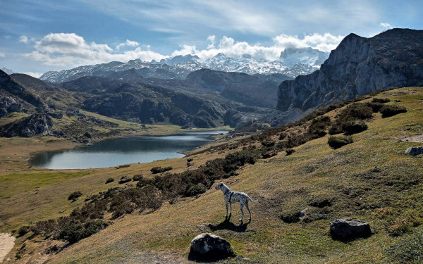 Covadonga See in Asturien mit Bergpanorama