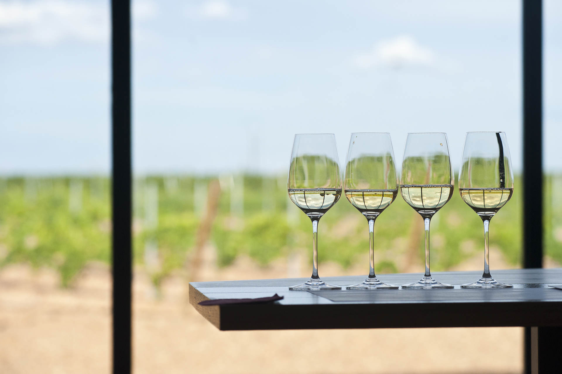 Gläser mit Weißwein auf einem Tisch