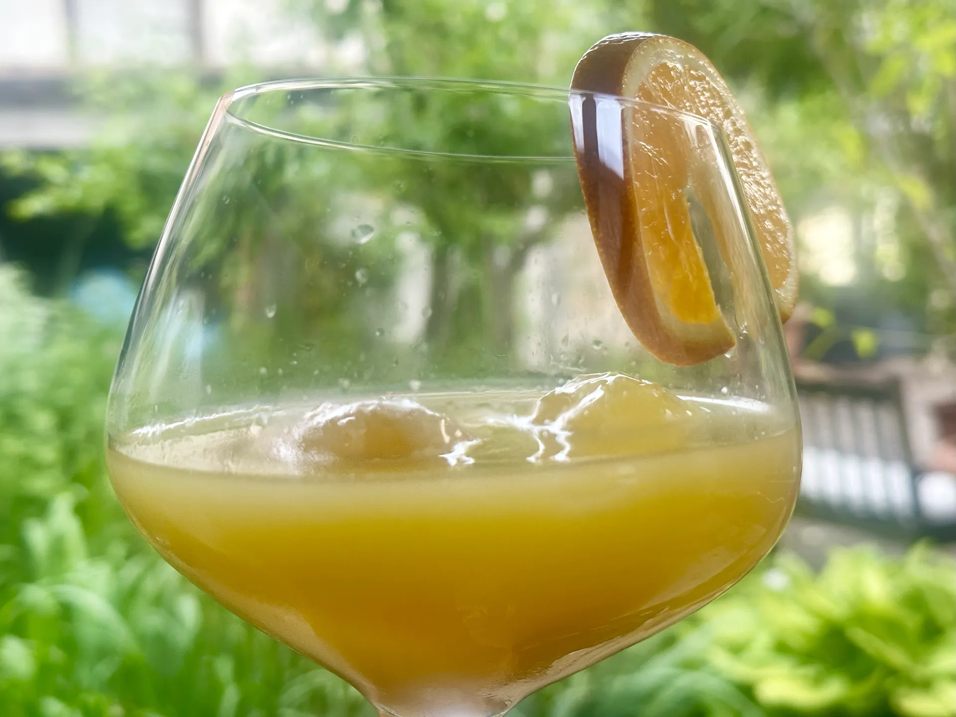 Glas mit Orangensaft und Eiswürfeln in einem Garten
