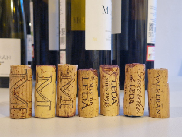 7 Korken nebeneinander aufgereiht