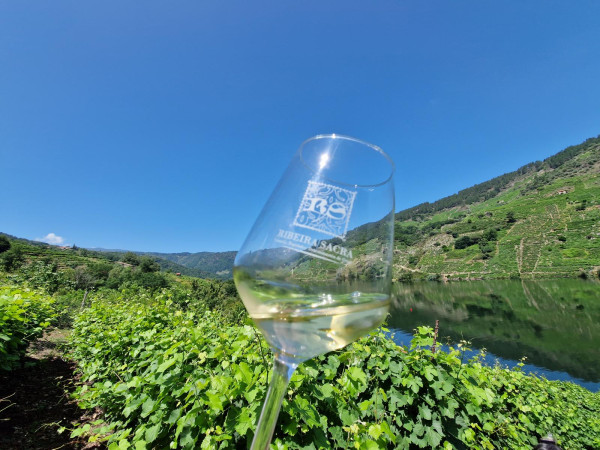 Weinglas in einem Weinberg, im Hintergrund ein Fluss