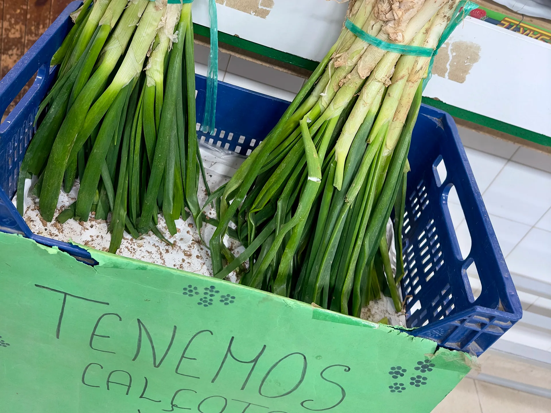 Zwei  Bund Calcots auf dem Markt in einer blauen Kiste