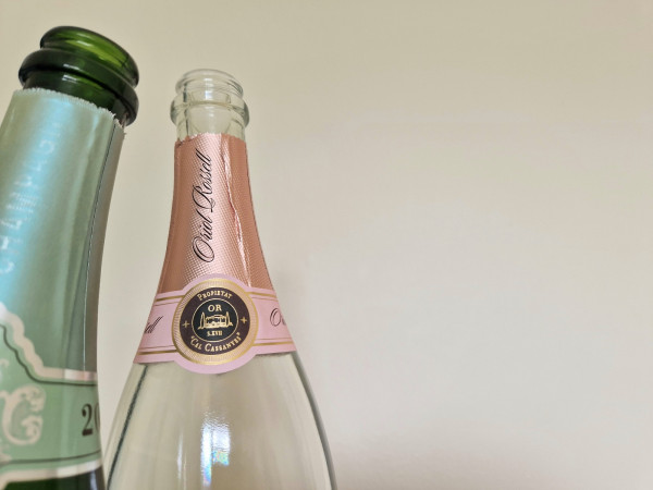 Zwei Sekt bzw. Cava Flaschen