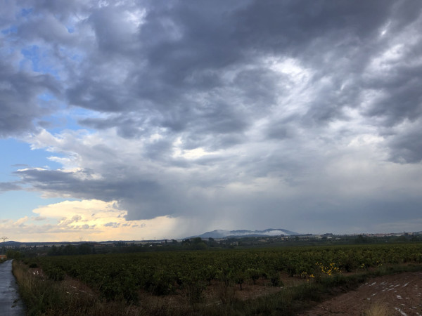 Jeder Jahrgang ein Abenteuer