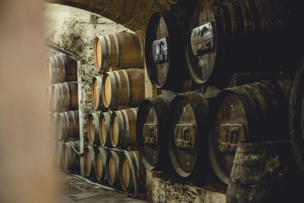 Brandy-Fässer in einem Keller