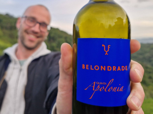 Jemand hält eine Flasche Verdejo Wein in die Kamera