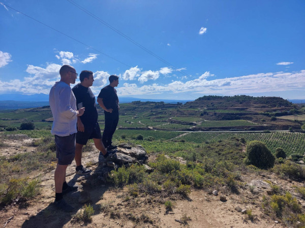 drei Personen auf einem Hügel, umgeben von Weinbergen