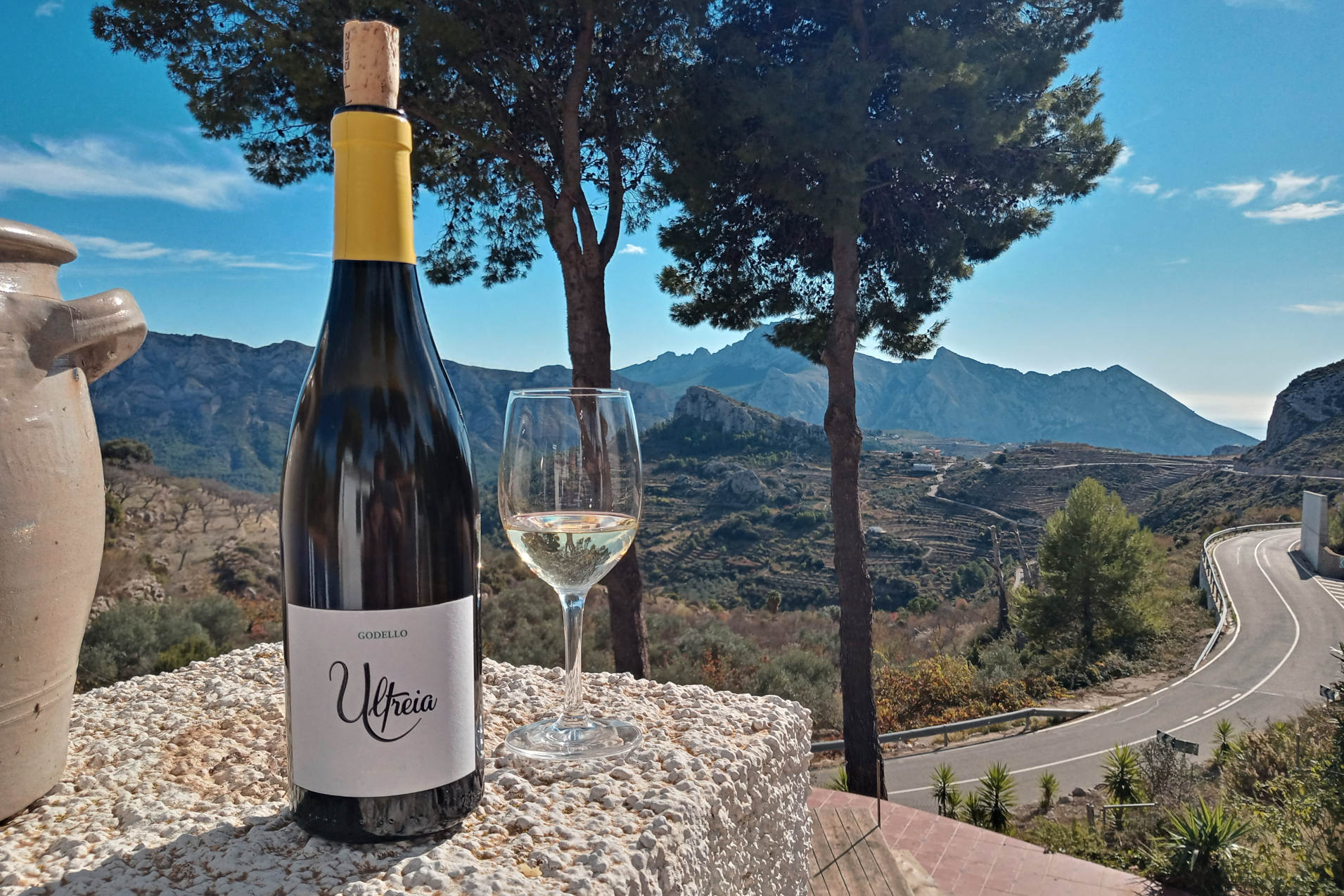 Spanien Weißwein mit Blick auf Berge