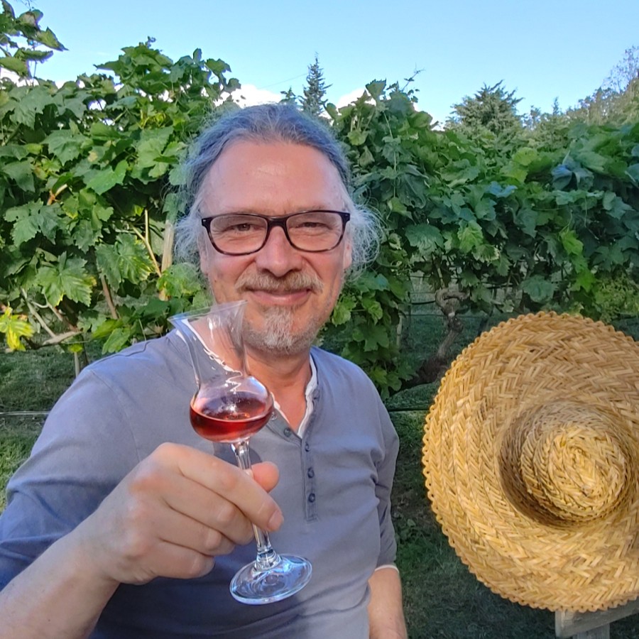 Mann mit Weinglas im Weinberg