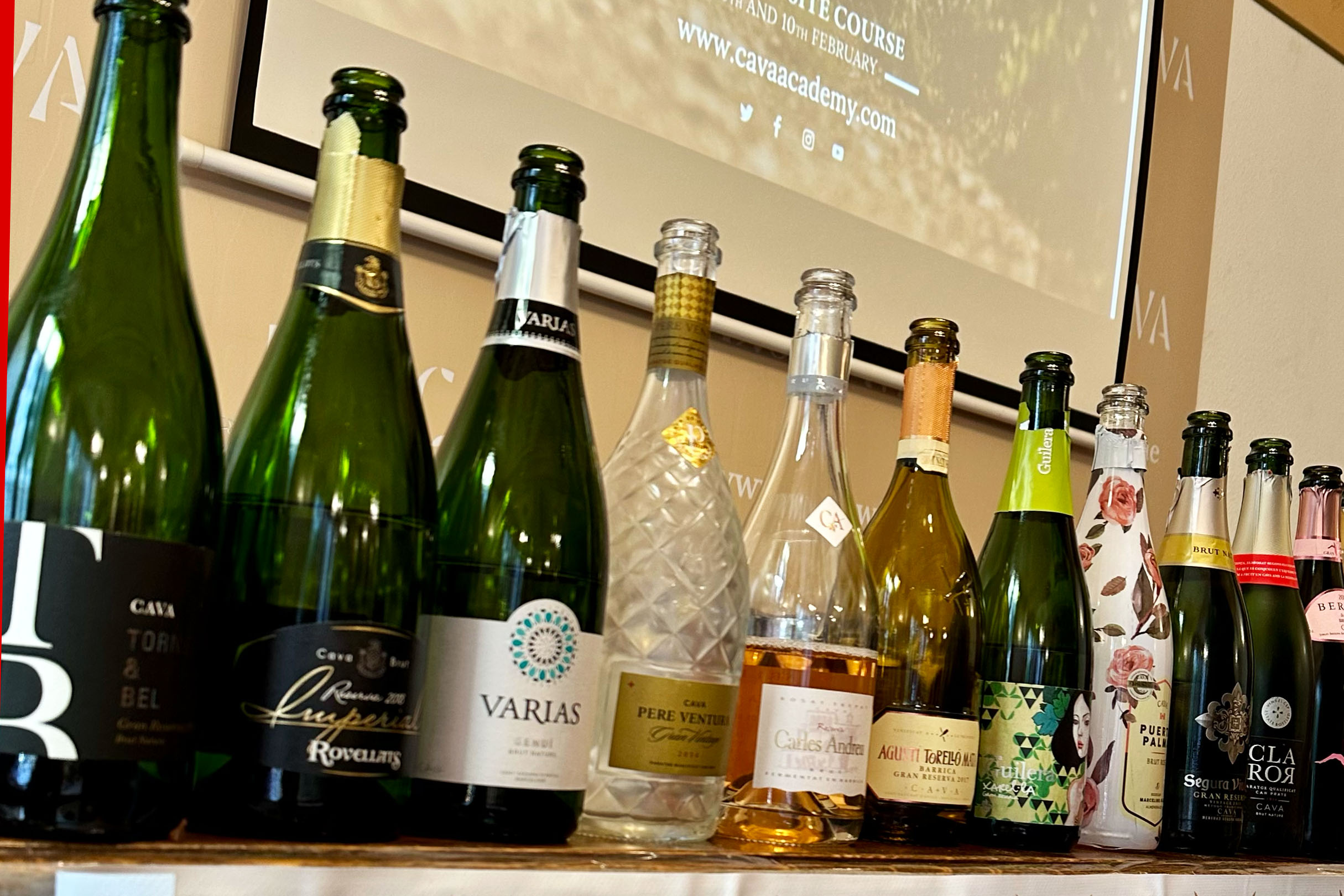Verschiedene Cava-Flaschen unterschiedlicher Produzenten bei einem Verkostungsevent der Cava Academy, darunter Rovellats, Pere Ventura und Segura Viudas