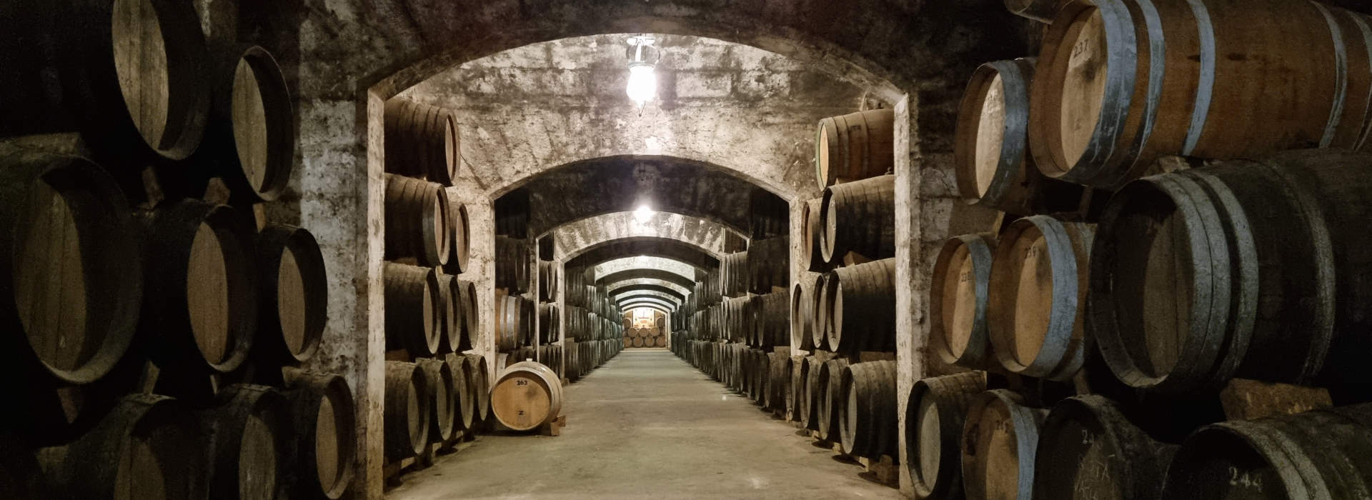 Bodega Mallorca Weintour mit Verkostung im Weinkeller